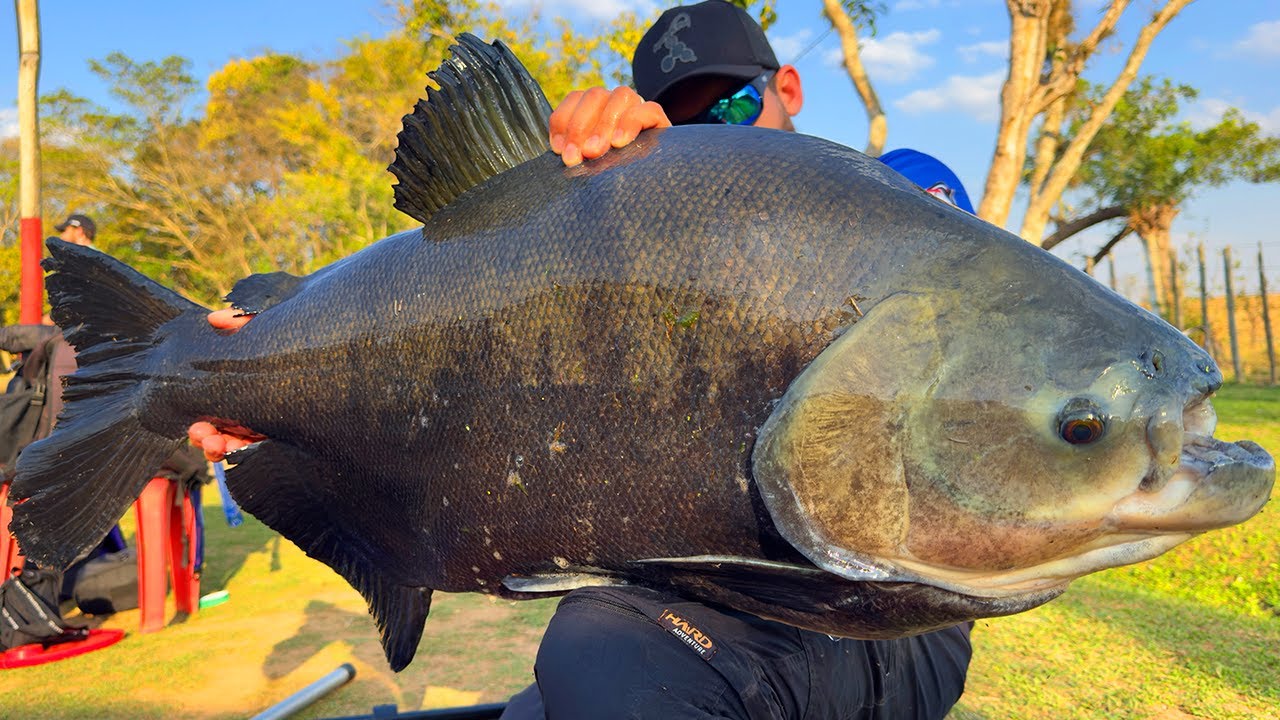 1 VARA DE PESCA E 1 SACOLA, A TEMPORADA VOLTOU!