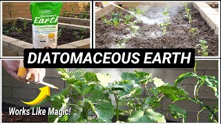 What is Diatomaceous Earth & How to use Diatomaceous Earth  in your Garden