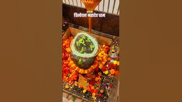 Trilochan Mahadev | Trilochan Mahadev mandir | #trilochanmahadevdham #trilochanmahadev