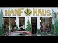 Можно ли свободно купить марихуану в Берлине? "Зелёные" - за легализацию