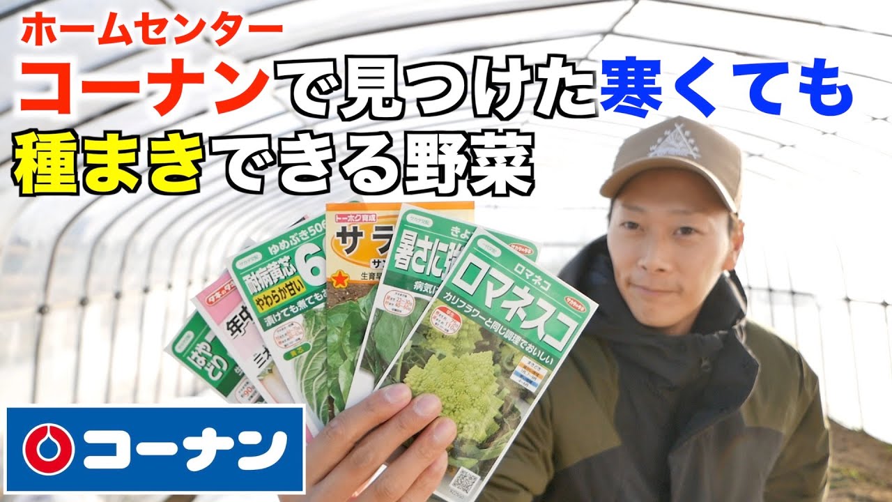 Vegetables that can be sown even in cold weather, found at a home
