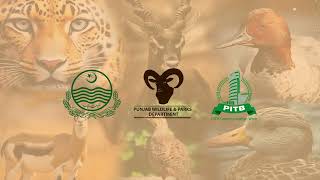 𝐖𝐢𝐥𝐝𝐥𝐢𝐟𝐞 𝐏𝐚𝐬𝐬 𝐀𝐩𝐩 | 𝐓𝐮𝐭𝐨𝐫𝐢𝐚𝐥 𝐕𝐢𝐝𝐞𝐨 𝐟𝐨𝐫 𝐭𝐡𝐞 𝐏𝐮𝐛𝐥𝐢𝐜 screenshot 4