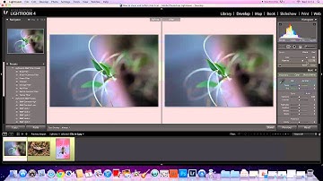 How to use the clone tool in Lightroom