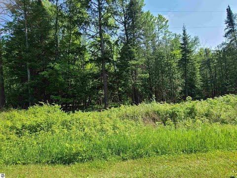1281 W Trask Lake Road, Barton City, MI home video tour