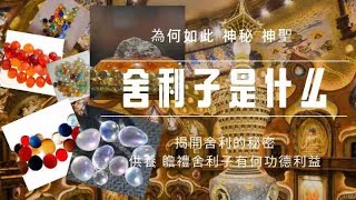 【大揭秘】為什麼會有舍利子？舍利子的神秘與殊勝！供養和瞻禮舍利子有何功德利益？