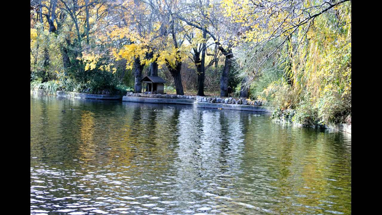 Pat Metheny-Farmer´s Trust.avi