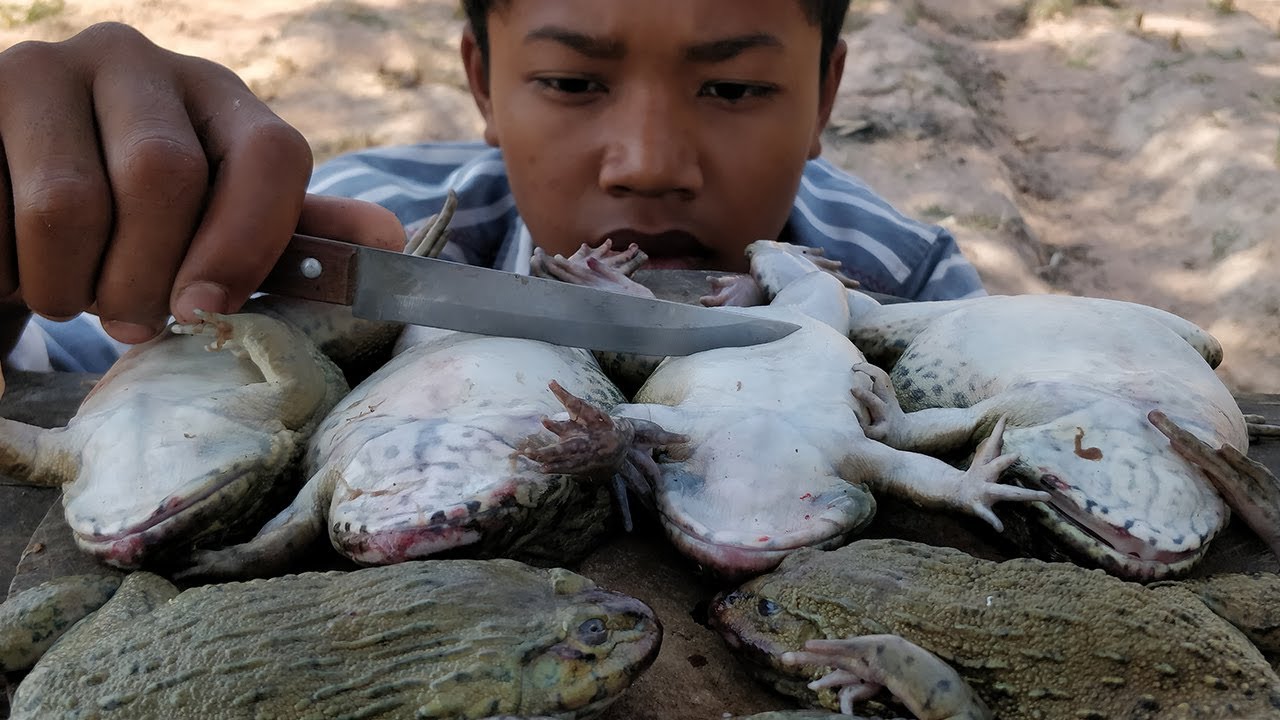 Frog Soup Recipe / Yummy Cooking Frog Soup With Lime Pickle