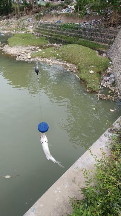 MANCING OMBYOK PAKAI UMPAN RESEP GONDRONG LABANAN