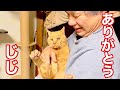【老猫永眠】奇跡の出逢いからウチの子として生きた3ヶ月の記録