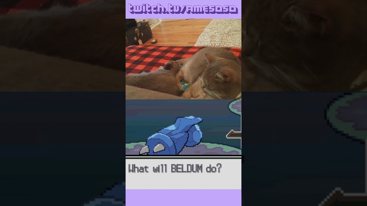 IF I CAN'T WIN, NEITHER CAN THIS KABUTOPS  