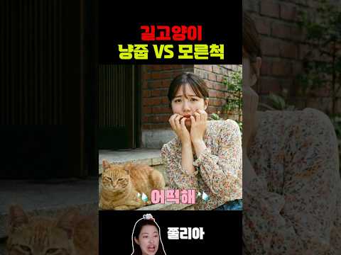 길고양이 냥줍 망설이는 친구