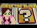 Minecraft: WHAT BLOCK IS THAT? (RANDOM PICTURE DROPPER!) Mini-Game