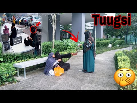 MAAMONKA TUUGSADO DHIPATA KA MARAAN