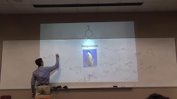 Organic II_April5_Begin Enol Enolate Chemistry