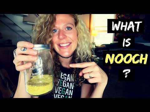 WHAT IS NOOCH? (aka NUTRITIONAL YEAST) ≫  And How To Use It