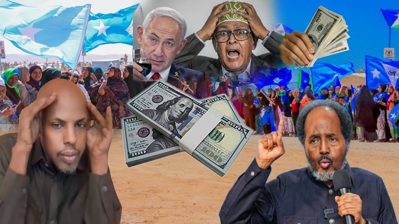 Sida uu lacag usamaynlahaa ayuu kujira ciro oo siro laga soo qarxiyay