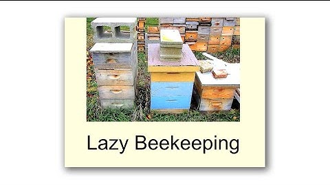 Michael Bush, Lazy Beekeeping