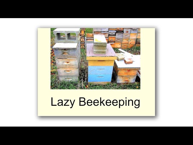 Interview with a Beekeeper — Botanical Formulations