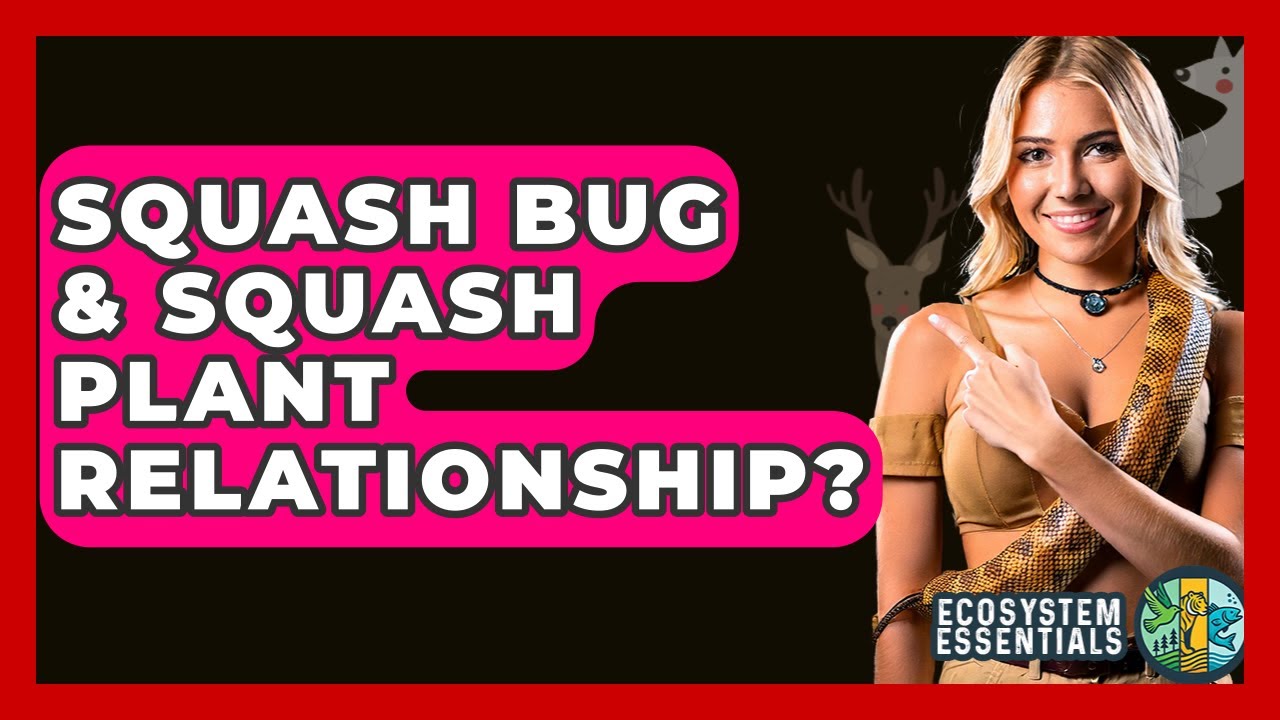 Squash Bug & Squash Plant Relationship? - Ecosystem Essentials