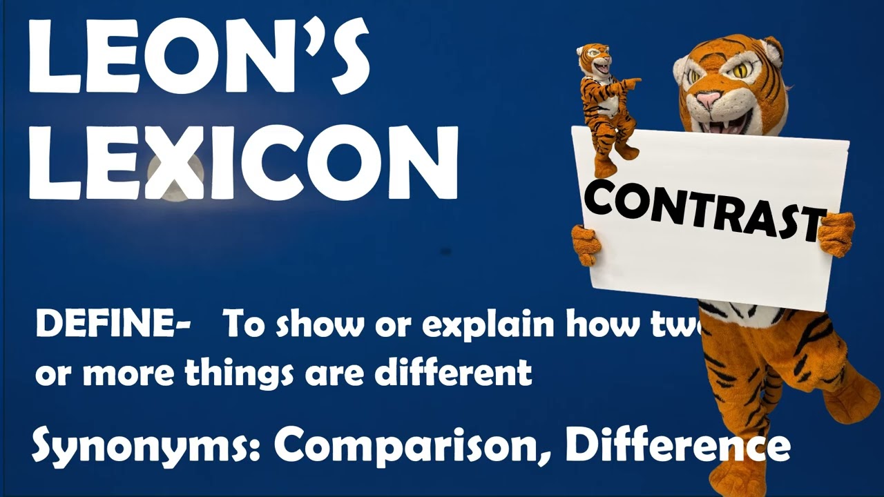 D-TV Slideshow 2/3/26