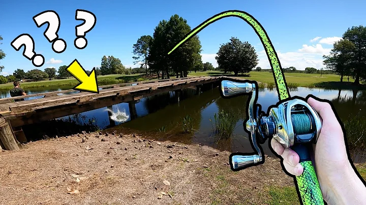 1v1 Random Lures ONLY Bass Fishing Tournament (INS...