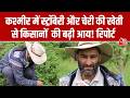 Jammu Kashmir के किसानों की पहली पसंद बनी Cherry और Strawberry की खेती, देखिए ग्राउंड रिपोर्ट