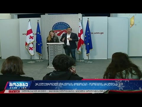 არაელექტრონული პირადობის მოწმობები - ოპოზიციის ბრალდება