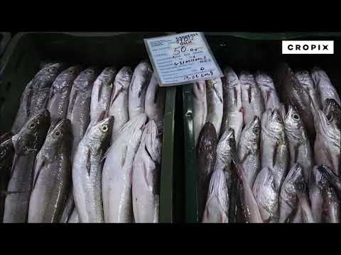 Video: O Prednostima Ribe I Morskih Plodova