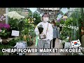 Healing Vlog: Cheap Flower & Plant Market In Korea You Must Visit (housewarming party~) | Q2HAN