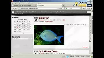 How to Use WordPress Widgets in The Sidebar - WordPress Tutorial 24