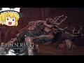 【エルデンリング】圧倒的！？最凶の腐敗神、爆誕！！【ゆっくり実況】【The convergence】#11