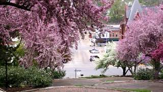 Darren Wagenbach™©2019 Snake Alley World's Crookedest Burlington Ia Entrance 🎣