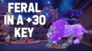 FERAL In A +30 Key!  2.8k io Rank 1 Feral M+  Raider Io Climb WoW Season 4 Mythic+