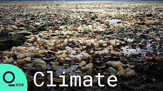 Cleaning Up Bolivias Lake Of Plastic