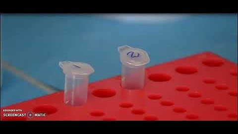 Plant DNA extraction - CTAB Method