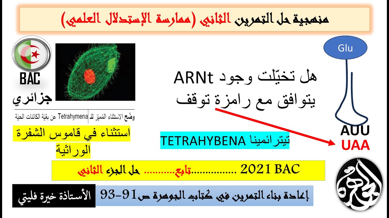 حل الجزء الثاني تمرين التيترائمينا باك2021