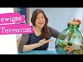 ewiges Terrarium | Flaschengarten anlegen | DIY Florarium | Hermetosphäre | Anleitung | mommymade