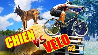 JE DÉFIE UN CHIEN ! (Vélo vs Chien #2)