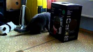 Еще кот и домовой Еще кот и домовой