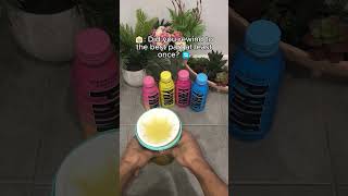 Slushy Time 🥤 #slushycup #slushymaker #slushy #summer #hot