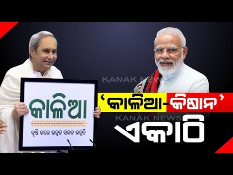 Odisha's Famed 'Kalia' Scheme Merges With Centre's PM-KISAN, Some Changes In Kalia Yojana Guidelines