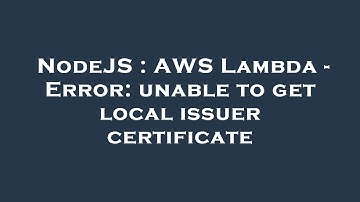 NodeJS : AWS Lambda - Error: unable to get local issuer certificate