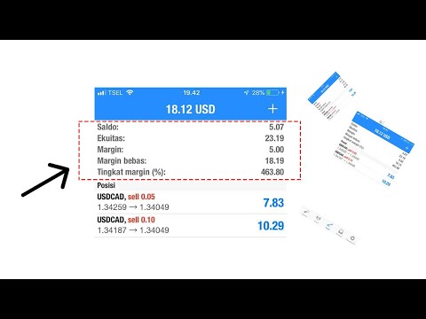 What is Margin, Balance, Equity, Free Margin and Margin Level in Forex Trading