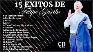 FELIPE GARIBO  15 Grandes Exitos Que Impactaran Tu Vida