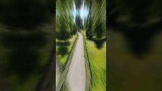 Parcelas Fundo Puyehue 2da etapa