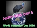 World Cassowary Day 2016