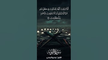 سورة التوبة | At-Tawbah | آية 126 | الشيخ وديع اليمني