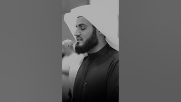 قرآن الكريم بصوت رعد محمد الكردي اجمل حالات واتس اب دينية فيديو قصيره 🤍🌿