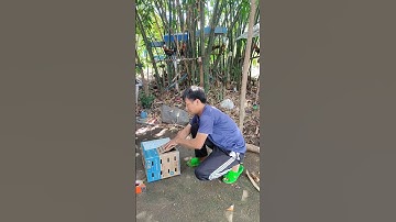 lên đường phục vụ ae đam mê🐓 #thứcgàrừng86 #gàrừngtaitrắng #gàrừngrặc