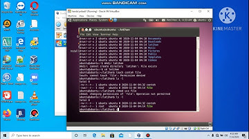 Hak Akses Chmod dan Chown di linux